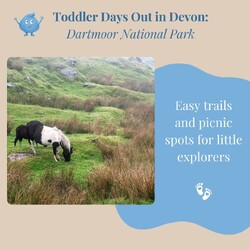 Planning a Devon trip with toddlers? Itâ€™s worth saving this post! Weâ€™ve got some fantastic family day out recommendations that we think your little ones will loveâ¤ï¸:

â­ Dartmoor National Park: Great for easy trails and picnics where toddlers can enjoy the outdoors.

â­ Babbacombe Model Village: A magical miniature world that will captivate toddlers with its tiny buildings and fun scenes.

â­ Becky Falls: A nature park with gentle paths and friendly animalsâ€”perfect for curious tots.

â­ Pennywell Farm: An interactive farm where toddlers can meet animals, enjoy tractor rides, and have a blast.

â­ Paignton Zoo: Explore a variety of animal exhibits and spacious grounds that are perfect for an exciting day out.

â­ South Devon Railway: Enjoy a scenic steam train ride through beautiful countryside.

â­ Crealy Theme Park: Packed with toddler-friendly rides, play areas, and live shows for endless fun.

If you need a place to stay in Devon, head over to Holiday Tots! All our properties are perfect for families with toddlers and babies, offering essentials like cots, high chairs, and stairgates plus even more! ðŸ‘¶ðŸ¼

#ToddlerAdventures
#FamilyDaysOut
#DevonWithKids
#DiscoverDevon
#FamilyFun
#HolidayTots