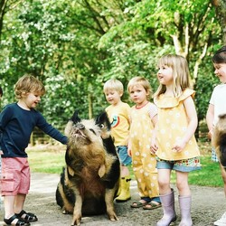 Thinking about a magical farm stay with your little ones? ðŸ·ðŸ´

Hereâ€™s why you will LOVE it:

ðŸ§¡ Plenty of room for your toddlers to giggle, play, and explore freely!
ðŸ§¡ From friendly goats to adorable piggies, your kids can feed, pet, and maybe even ride a pony!
ðŸ§¡ Enjoy fun activities like tractor rides and nature trails.
ðŸ§¡ Cosy cottages, well-equipped just for you and your little ones!
ðŸ§¡ Sensory delights for babies with the sights and sounds of nature all around!
ðŸ§¡ More than just a farm stayâ€”think indoor play areas, outdoor play zones, and maybe even a splash in the swimming pool!
ðŸ§¡ Some farm stays even offer farm shops with local produce, pre-cooked meals, cosy log burners, hot tubs, or soothing treatments.
ðŸ§¡ Perfect for every seasonâ€”thereâ€™s always something to enjoy!

We feature AMAZING farm stays where the hosts truly care for you and your little ones. Theyâ€™re just perfect for families with toddlers and babies, offering a world of adventure right at your doorstep! ðŸ¤©